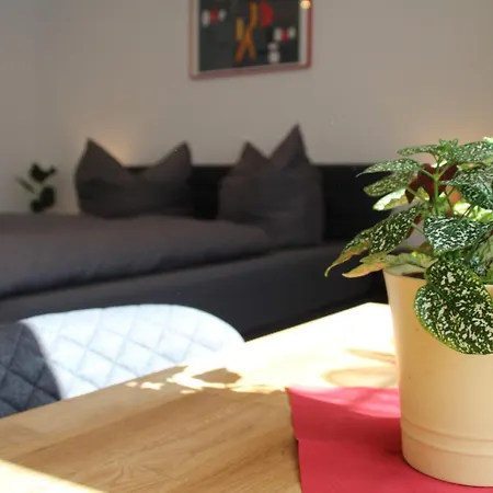 Alter Stern Apartment *